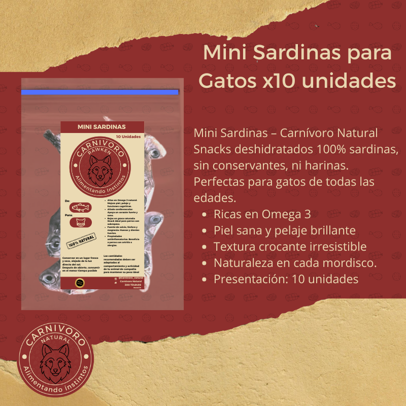 Carnivoro Mini Sardina x 10