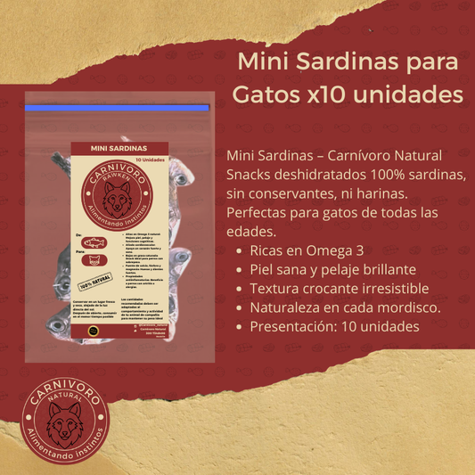 Carnivoro Mini Sardina x 10